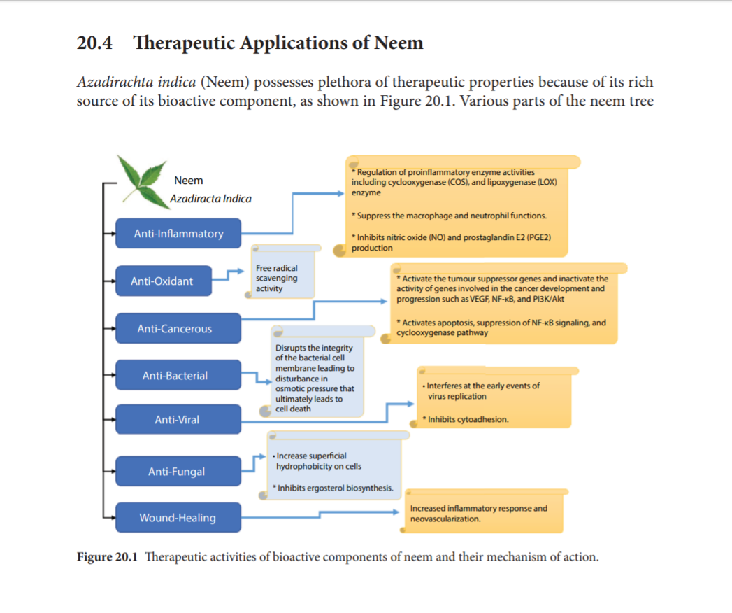 neem-therapeutic-applications